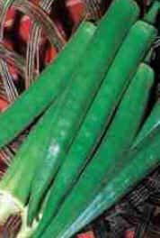 Quiabo