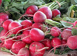 Rabanete