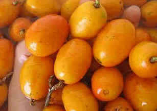 Siriguela