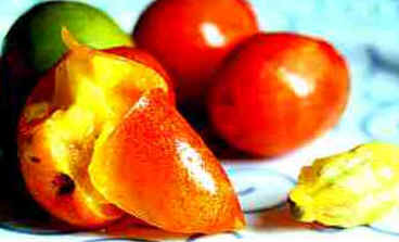 Siriguela
