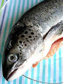 História do Sushi História do Sushi