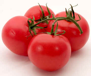 Tomate