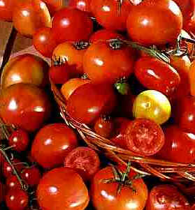 Tomate
