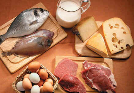 Tipos de Alimentos