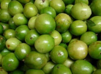Umbu