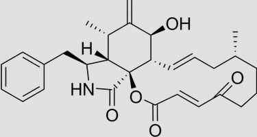 Citocalasinas