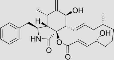 Citocalasinas