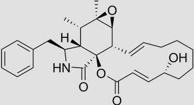 Citocalasinas