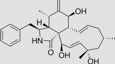 Citocalasinas
