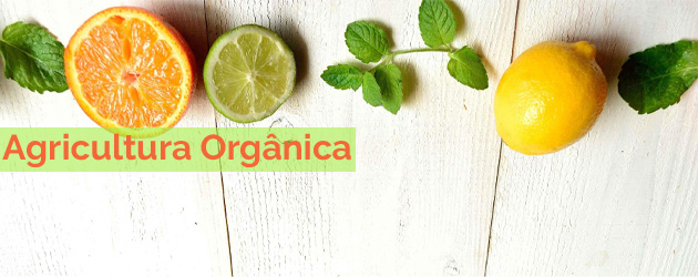 Agricultura Orgânica