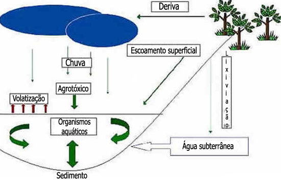 Agrotóxicos em Meios Aquáticos Agrotóxicos em Meios Aquáticos