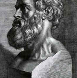Anatomia Humana