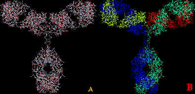 Anticorpo Monoclonal