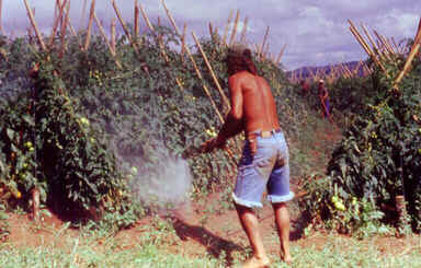 Aplicação de Agrotóxicos