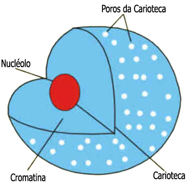 Carioteca Carioteca