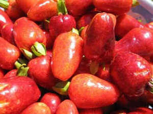 Cerejeira