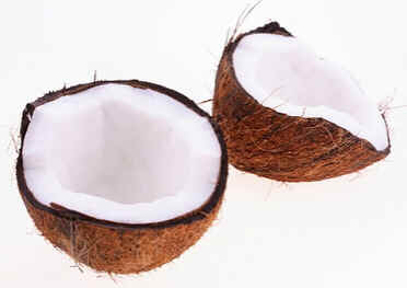 Coqueiro