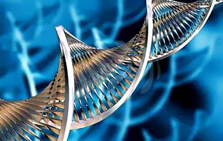 DNA