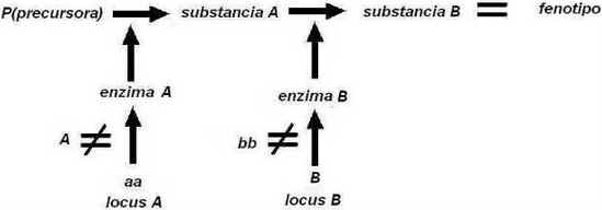 Epistasia Epistasia