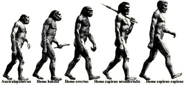 Evolução dos Seres Vivos