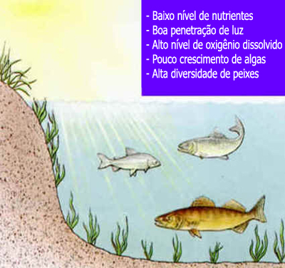 Eutrofização Eutrofização
