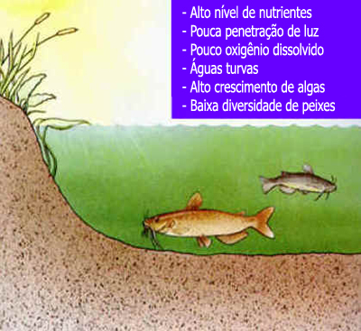 Eutrofização Eutrofização