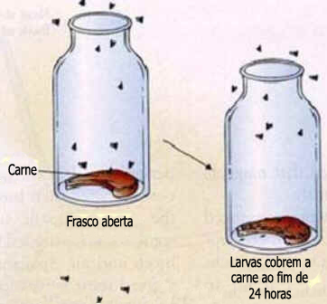 Experimentos de Redi