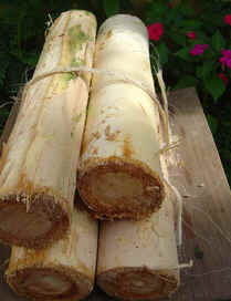 Guariroba