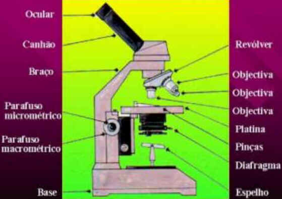 Microscópio Óptico
