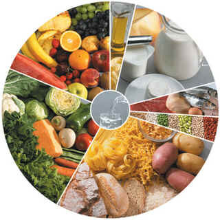 Nutrição Nutrição