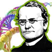 Segunda Lei de Mendel