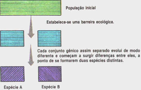 Surgimento de Novas Espécies
