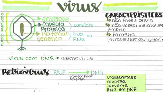 Mapa Mental de Vírus