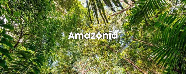 Amazônia
