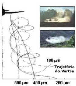 Aplicação Aérea de Agroquímicos Aplicação Aérea de Agroquímicos