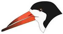 Bicos das Aves Bicos das Aves