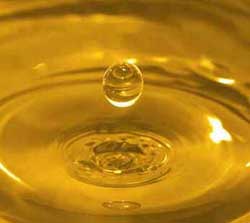 Biodiesel
