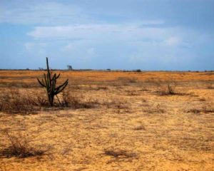 Caatinga