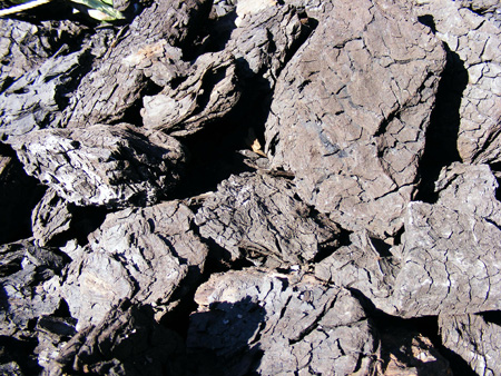 Carvão Mineral Carvão Mineral