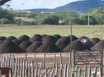 Compostagem Compostagem