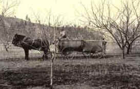 Defensivos Agrícolas Defensivos Agrícolas