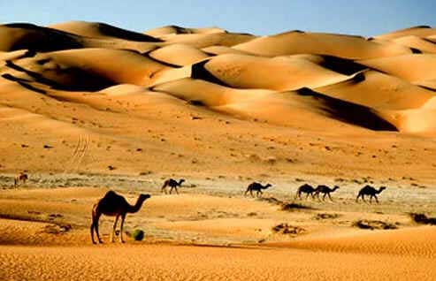 Desertificação no Mundo Desertificação no Mundo
