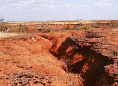 Desertificação no Brasil Desertificação no Brasil