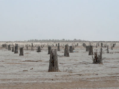 Desertificação