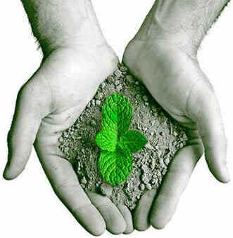 Direito Ambiental Direito Ambiental