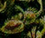 Período Cambriano