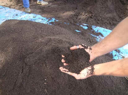 Fertilizantes