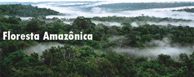 Floresta Amazônica