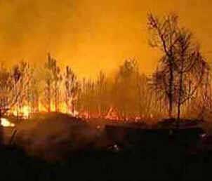 Incêndios Florestais Incêndios Florestais