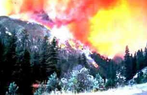 Incêndios Florestais Incêndios Florestais